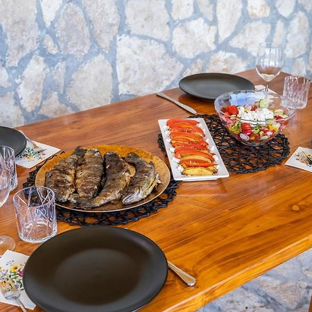 Villa Nesa - Beautiful Guest House At Continental Croatia With Outdoor Swimming Pool, Sauna And 3 Bedrooms Plaški Extérieur photo